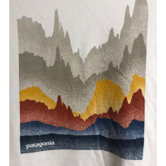 patagonia(パタゴニア)のpatagonia パタゴニア Tシャツ　S メンズのトップス(Tシャツ/カットソー(半袖/袖なし))の商品写真