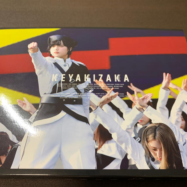 欅坂46(けやき坂46)(ケヤキザカフォーティーシックス)の欅共和国2018 BluRay (初回生産限定版) エンタメ/ホビーのDVD/ブルーレイ(ミュージック)の商品写真