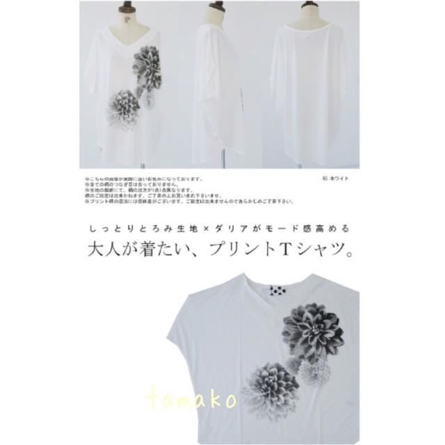 antiqua(アンティカ)のアンティカ ダリア 花柄 トップス Ｔシャツ レディースのトップス(Tシャツ(半袖/袖なし))の商品写真