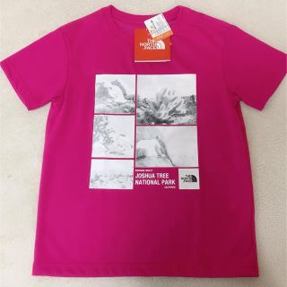 ザノースフェイス(THE NORTH FACE)のTHE NORTH FACE  ノースフェイス 半袖Tシャツ (Tシャツ/カットソー)