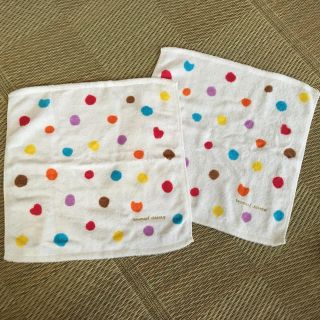 ツモリチサト(TSUMORI CHISATO)のツモリチサト　マルチネコドットタオルM 2枚(タオル/バス用品)