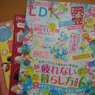 タカラジマシャ(宝島社)のLDK mini 2020年 07月号(生活/健康)