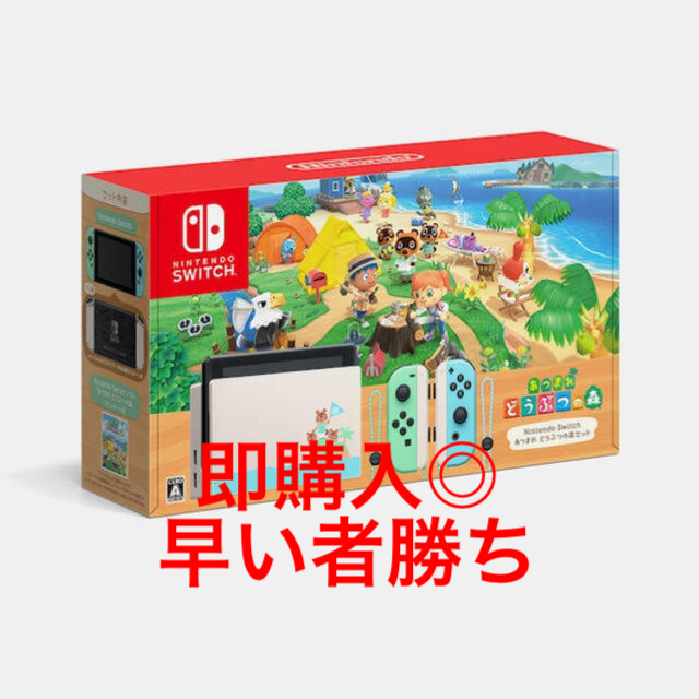 【早い者勝ち】Nintendo Switch あつまれどうぶつの森セット 本体