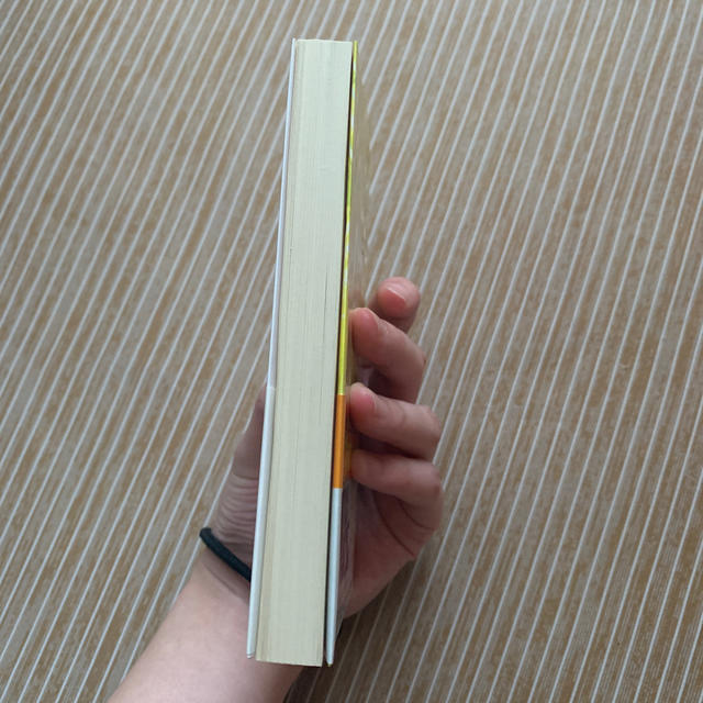 閃光スクランブル エンタメ/ホビーの本(文学/小説)の商品写真
