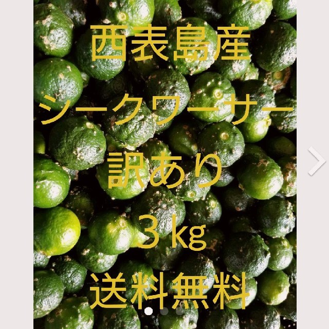 沖縄県西表島産  シークヮーサー 訳あり３㎏ 食品/飲料/酒の食品(フルーツ)の商品写真