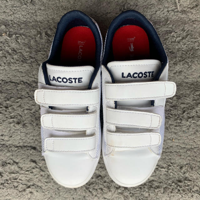 LACOSTE(ラコステ)のLacoste スニーカー　白 キッズ/ベビー/マタニティのキッズ靴/シューズ(15cm~)(スニーカー)の商品写真