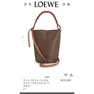 ロエベ(LOEWE)のロエベ  ゲートバケットハンドルバッグ(ショルダーバッグ)