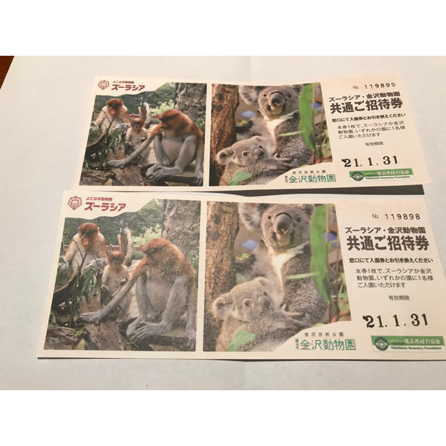 ズーラシア•金沢動物園　共通ご招待券　2枚 チケットの施設利用券(動物園)の商品写真