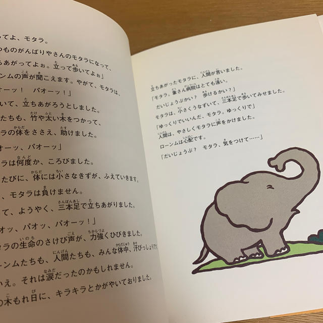 地雷をふんだ象モタラ モタラとロ－ンムの物語 エンタメ/ホビーの本(絵本/児童書)の商品写真