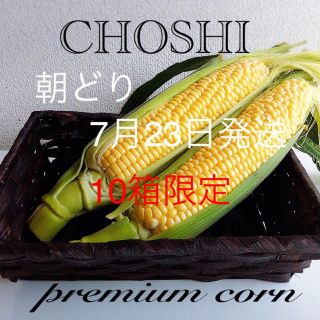 千葉甘ーいとうもろこし(野菜)