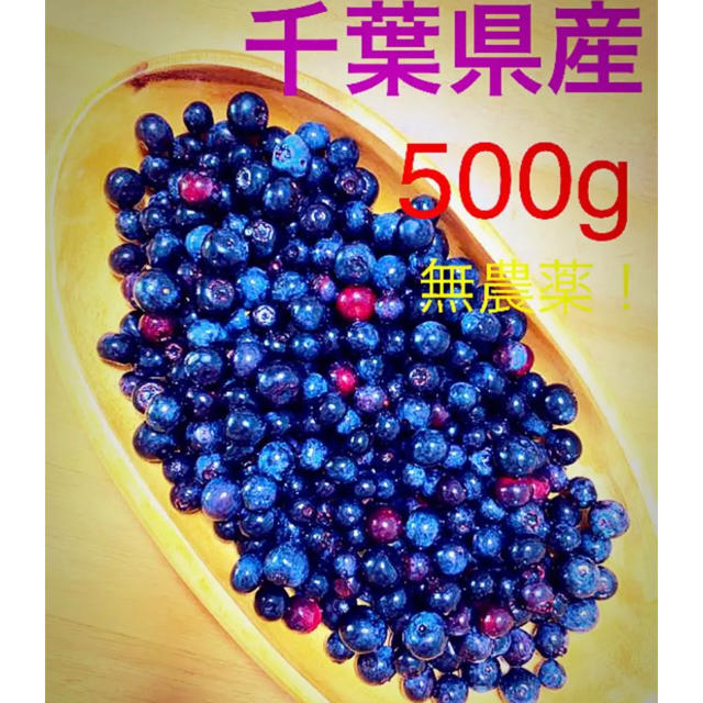 千葉県生ブルーベリー500＋おまけ 食品/飲料/酒の食品(フルーツ)の商品写真