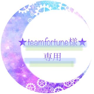 キリン(キリン)の★teamfortune様専用★(クリアファイル)