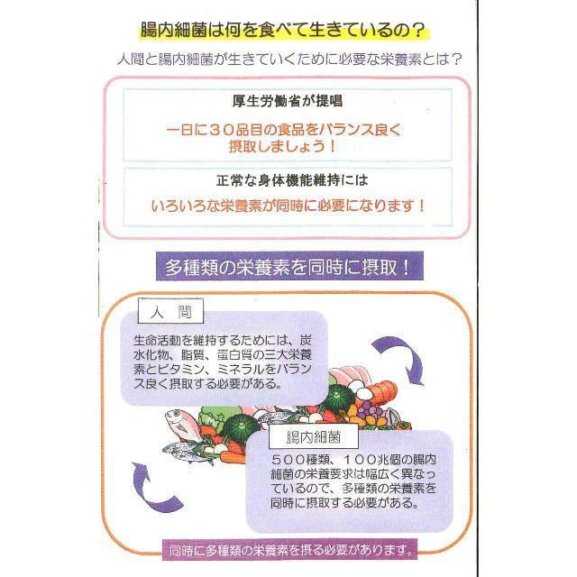 コッカス+アミネビタクルクミン90粒入X4袋・アドバンス腸内細菌 コッカス+アミネビタクルクミン90粒入X4袋・アドバンス腸内細菌