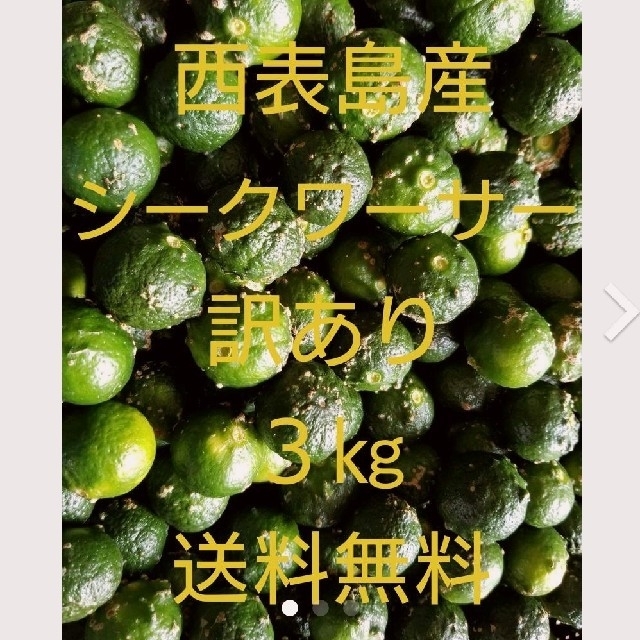 沖縄県西表島産シークヮーサー 訳あり３㎏ 食品/飲料/酒の食品(フルーツ)の商品写真