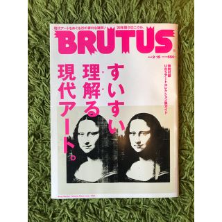 BRUTUS (ブルータス) すいすい理解る現代アート(その他)