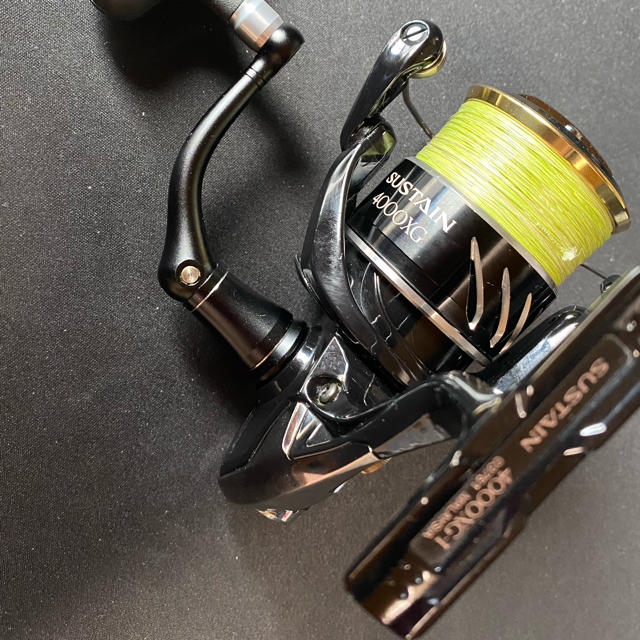 SHIMANO サステイン  4000xg