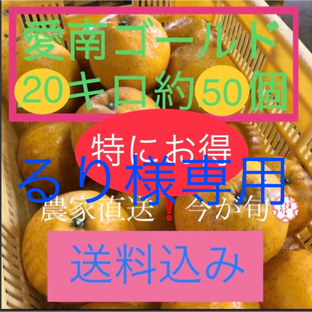 愛媛県産 農家直送 愛南ゴールド(河内晩柑) 食品/飲料/酒の食品(フルーツ)の商品写真