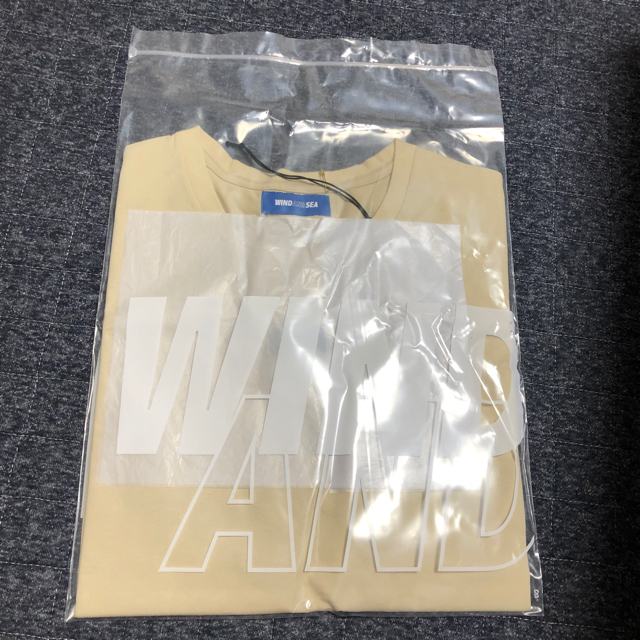 arena(アリーナ)のWIND AND SEA コラボTシャツ メンズのトップス(Tシャツ/カットソー(半袖/袖なし))の商品写真