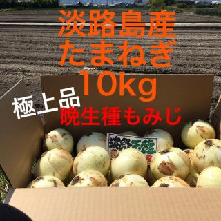 ★極上品★個数限定出荷　淡路島産　たまねぎ　10kg  タマネギ(野菜)