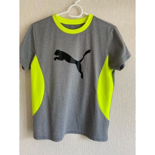 プーマ(PUMA)のプーマTシャツ　150(Tシャツ/カットソー)