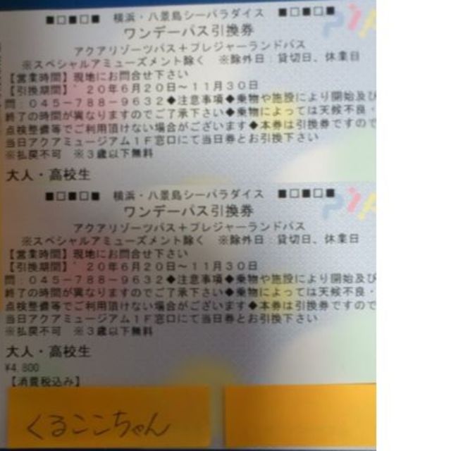 横浜・八景島シーパラダイス ワンデーパス引換券 大人2枚組 20年11/30迄遊園地/テーマパーク