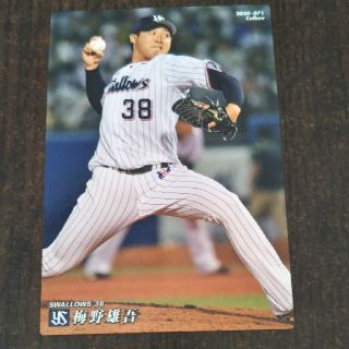 トウキョウヤクルトスワローズ(東京ヤクルトスワローズ)の梅野雄吾　東京ヤクルトスワローズ(スポーツ選手)