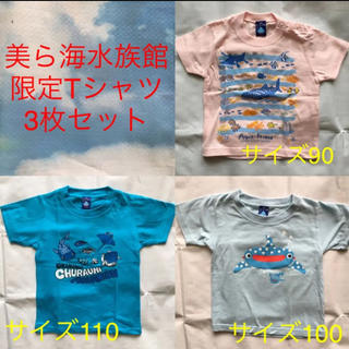 沖縄　美ら海水族館オリジナル　Tシャツ(ナイトアクアリウム)  サイズ XL