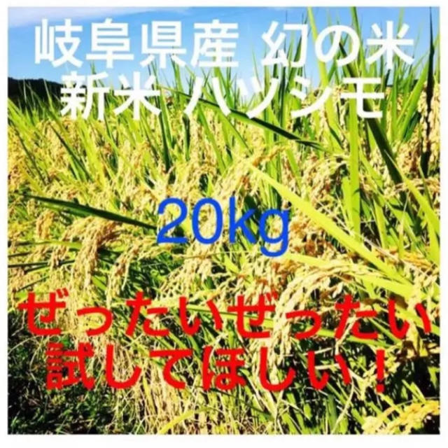 2019年　岐阜県産　幻の米　はつしも　玄米20キロ食品