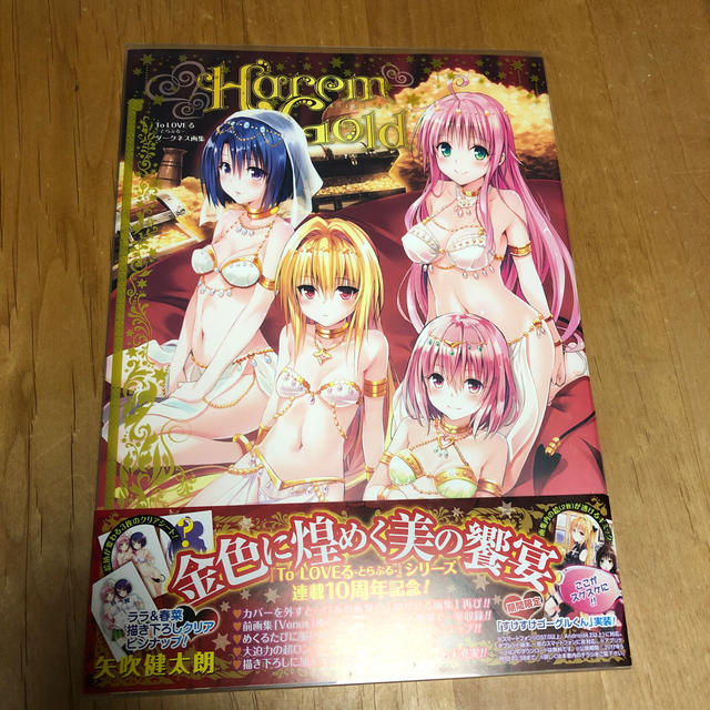 集英社(シュウエイシャ)のToLOVEる ダークネス画集　Harem Gold エンタメ/ホビーの漫画(イラスト集/原画集)の商品写真