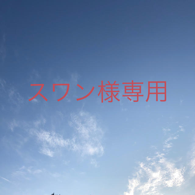 スワン様専用 - abraprev.org.br