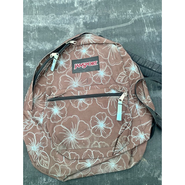 JANSPORT(ジャンスポーツ)のJANSPORT リュック バックパック　最終金額です レディースのバッグ(リュック/バックパック)の商品写真