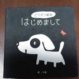 ショウガクカン(小学館)のどうぶつ絵本　はじめまして(絵本/児童書)