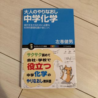 大人のやりなおし中学化学 現代を生きるために必要な科学的基礎知識が身につく(科学/技術)