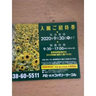 東京ドイツ村　入園ご招待券★複数枚あり②(遊園地/テーマパーク)
