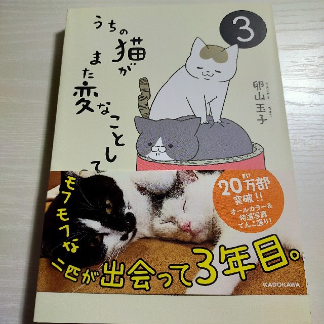 うちの猫がまた変なことしてる 3の通販 By きじねこ堂 ラクマ うちの猫がまた変なことしてる 3の通販 By きじねこ堂 ラクマ