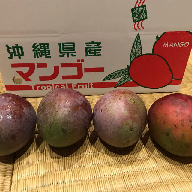 レッドキーツマンゴー  1キロ　沖縄産 食品/飲料/酒の食品(フルーツ)の商品写真