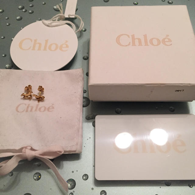 Chloe(クロエ)のぽ様専用◆Chloe◆ ホースピアス レディースのアクセサリー(ピアス)の商品写真