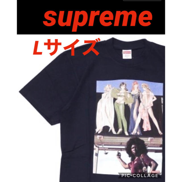 SUPREME American Picture Tee ネイビー　Lサイズメンズ