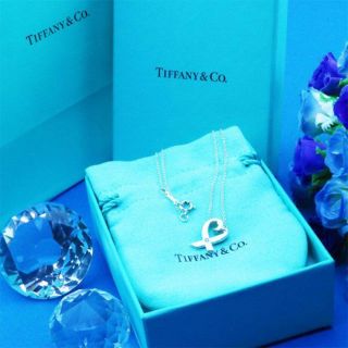 ティファニー(Tiffany & Co.)のダイヤ付き　新品　未使用品♪ティファニー　ラビングハートダイヤネックレス(ネックレス)