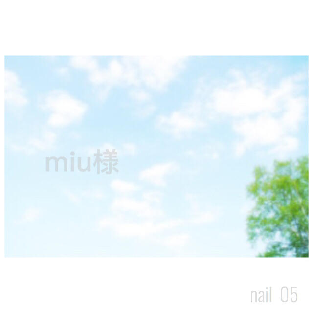 miuさま⁂専用出品 コスメ/美容のネイル(つけ爪/ネイルチップ)の商品写真