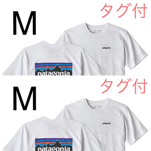【同梱版】最新2020 パタゴニアTシャツ Mサイズ 2着同梱版