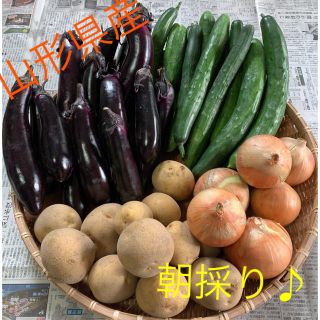 【新鮮】山形県産  ☆無農薬野菜☆ 詰め合わせ(野菜)