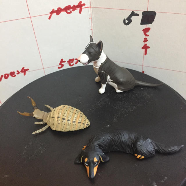 海洋堂(カイヨウドウ)のチョコエッグ 日本の動物コレクション   海洋堂 フルタ 3個セット   エンタメ/ホビーのフィギュア(その他)の商品写真