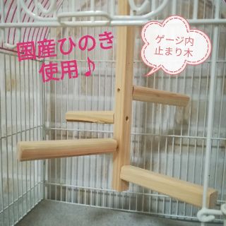 【氷羅様専用ページ】鳥さん止まり木　ゲージ用　アレンジ可能(鳥)