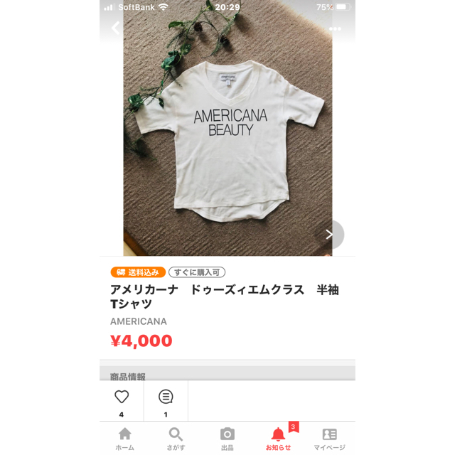 ★★専用です。2点まとめ★★  アメリカーナTシャツ