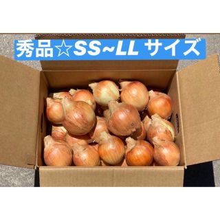 淡路島 たまねぎ 玉ねぎ 晩生 5キロ 秀品 SS〜LL☆天然アミノ酸肥料使用(野菜)