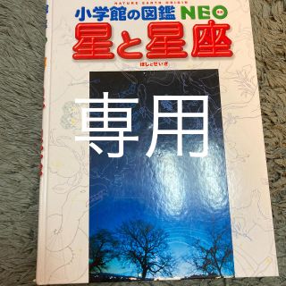 ショウガクカン(小学館)の小学館の図鑑　NEO 星と星座(絵本/児童書)