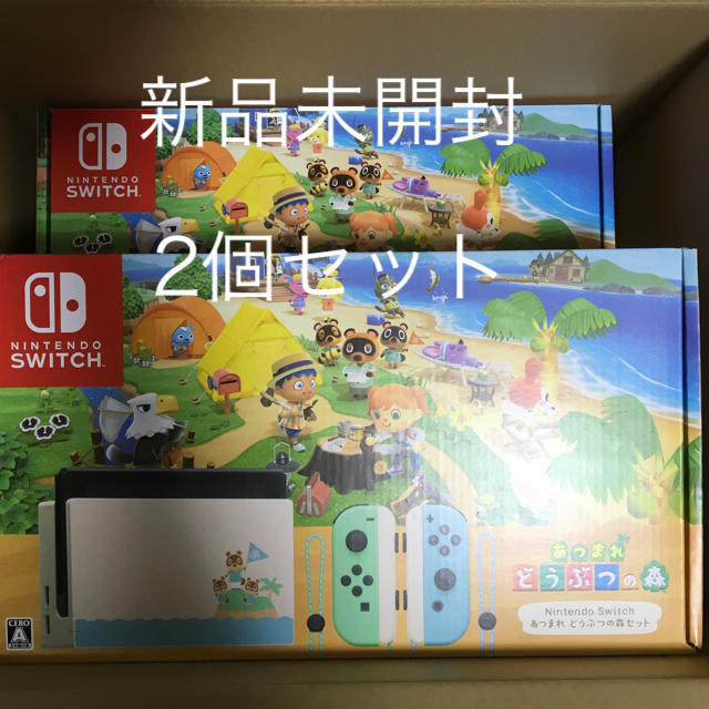 人気No.1】 Nintendo あつまれどうぶつの森 同封版 2台セット - Switch ...