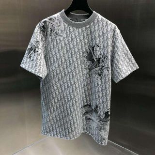 Dior オブリークTシャツ | www.tspea.org