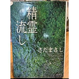 精霊流し（ｓｈｏｕｒｏｕｎａｇａｓｈｉ）(文学/小説)